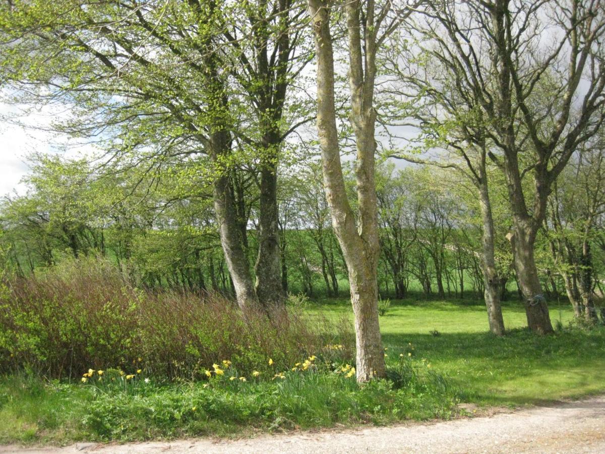 Feriegarden I Floutrup Guest House Roslev Exterior foto